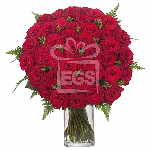 48 Imported Red Roses